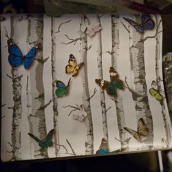 Butterfly Contact Paper 