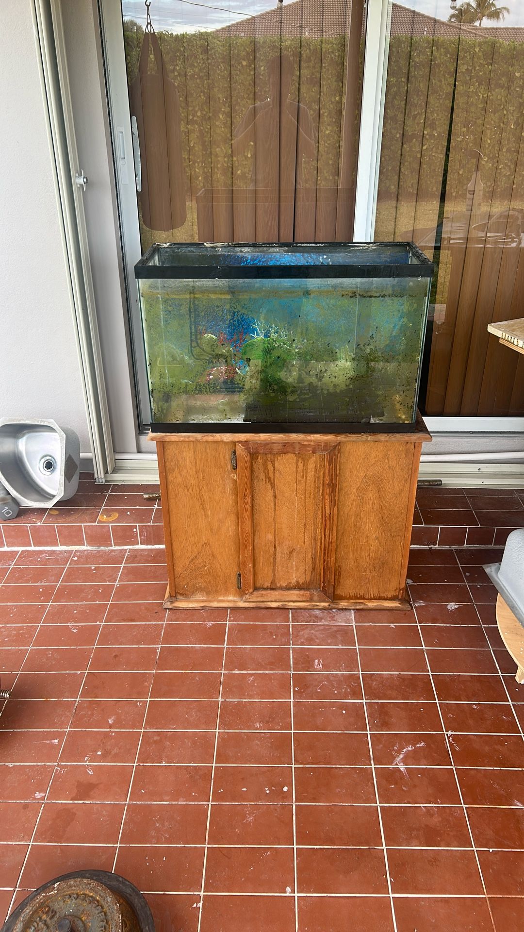 Fish tank and storage