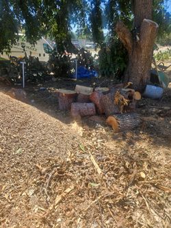 Free wood