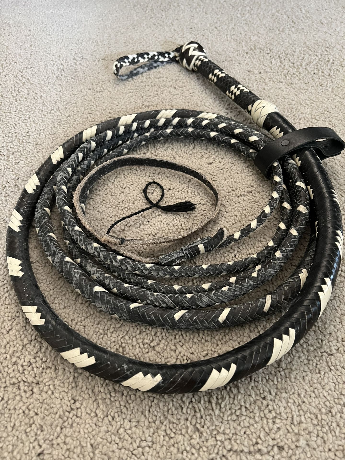 Almost New Bull Whip