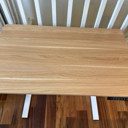 FLEXISPOT Standing Desk 40 x 24 Inches