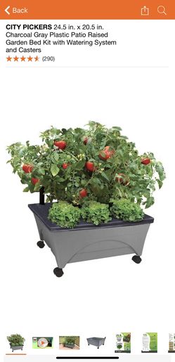 City Pickers Self Watering Planters