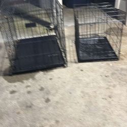 dog cages