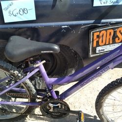 24"  Girls Purple Bike $50