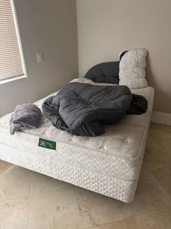 Full Mattress with Box Spring Set
