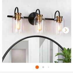 Bathroom Vanity Light Fixture  💡