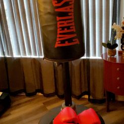 Punching Bag