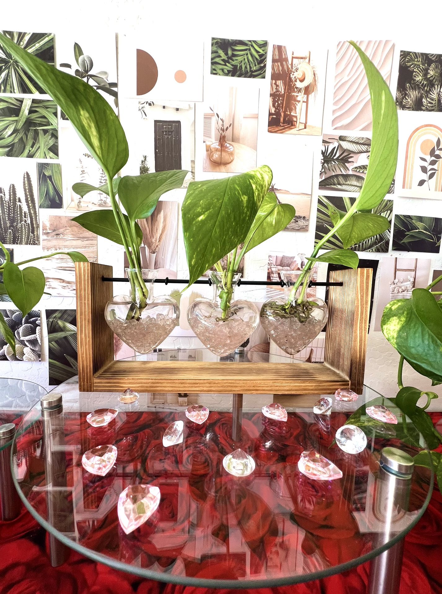 Heart Plant Holder/w Plant 