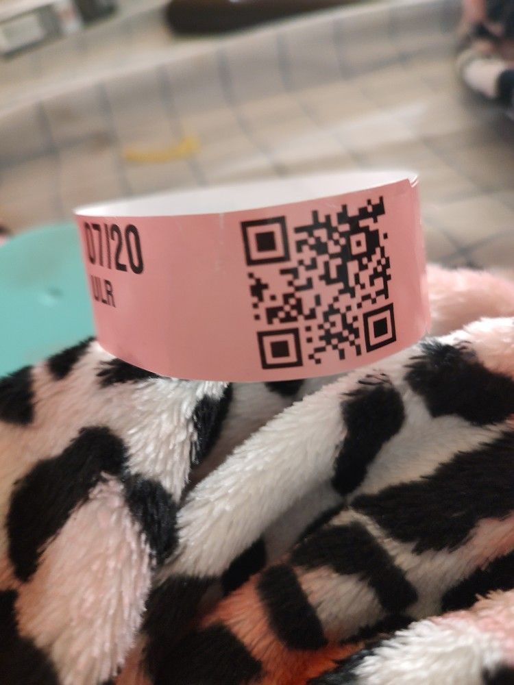 Cal Expo Ticket 