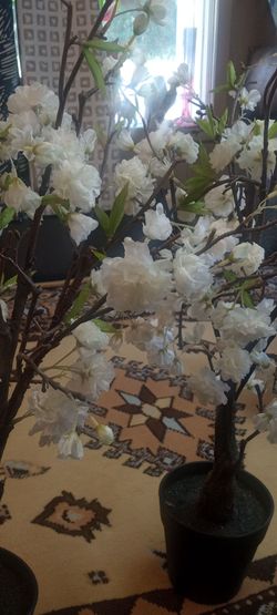 New set of dogwood trees 47 each or 70 dollar's for set looks real high quality