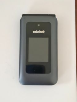 Debut Flip Cricket