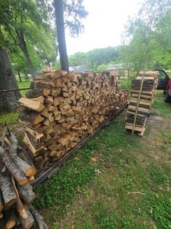 raw hickory