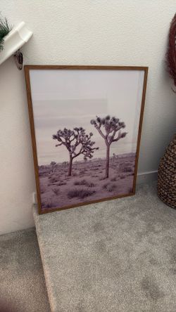 Framed Desert Print