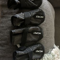 Dog Shoes :)