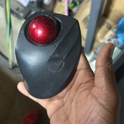 Mouse 