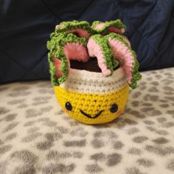 Crochet Aglaonema