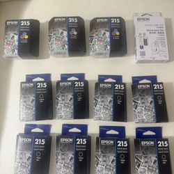 Epson Black & Color Ink 