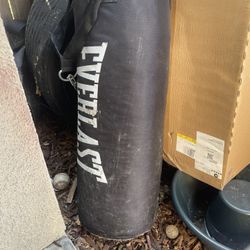 Everlast Heavy Punching Bag 