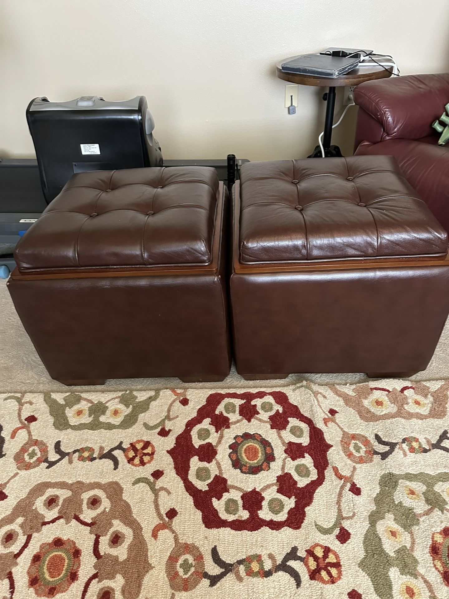 Storage Ottomans/Coffee Tables