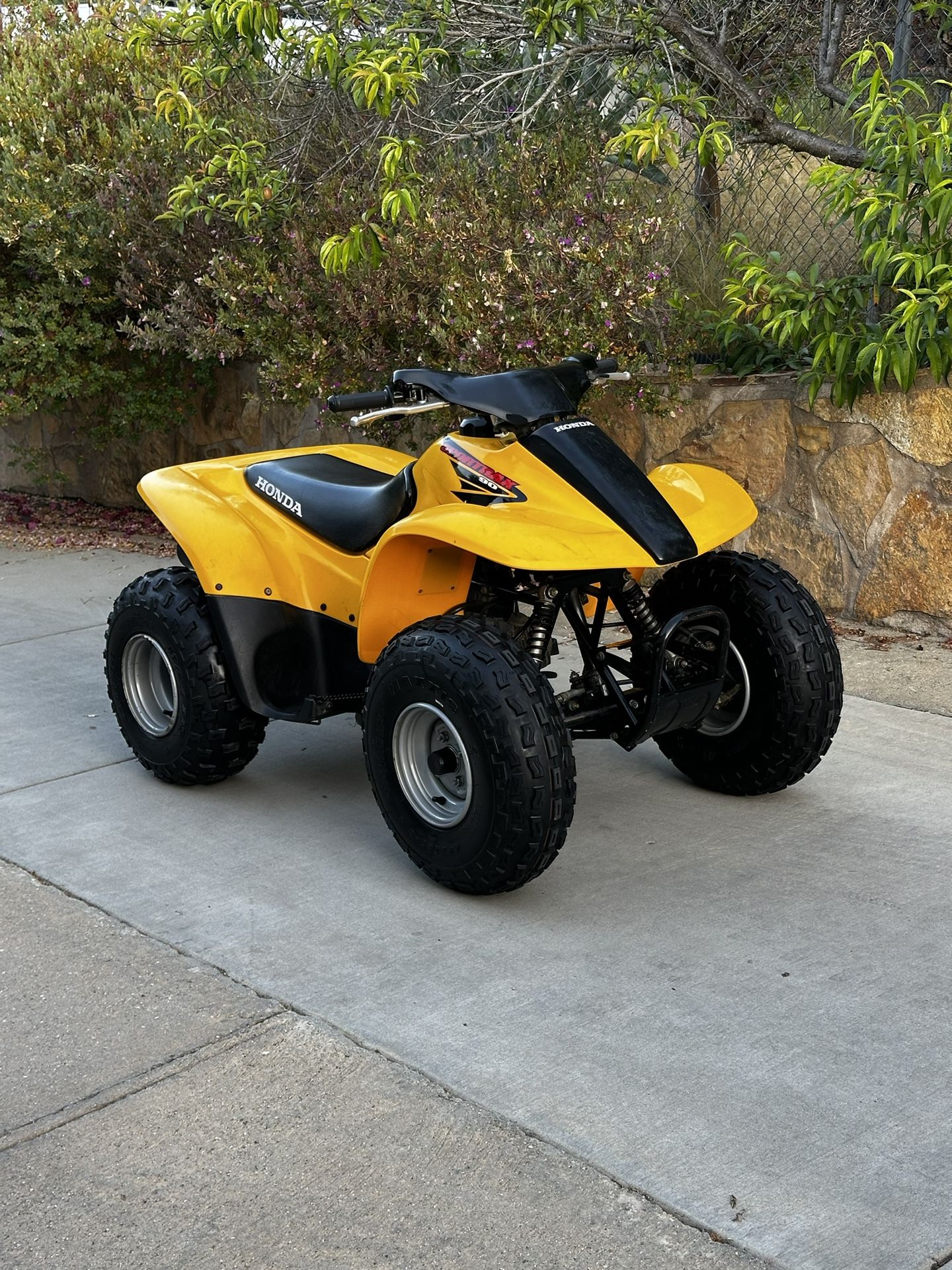 2003 Honda TRX 90