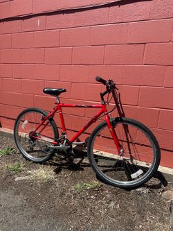 Raleigh Hybrid Bike