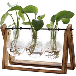 🌱NEW!! 3 Bulb Glass Vase Plant Terrarium