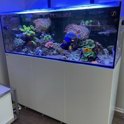 Fish Tank Aquarium Decor