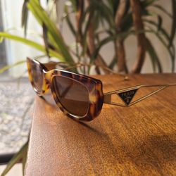 Sunglasses 