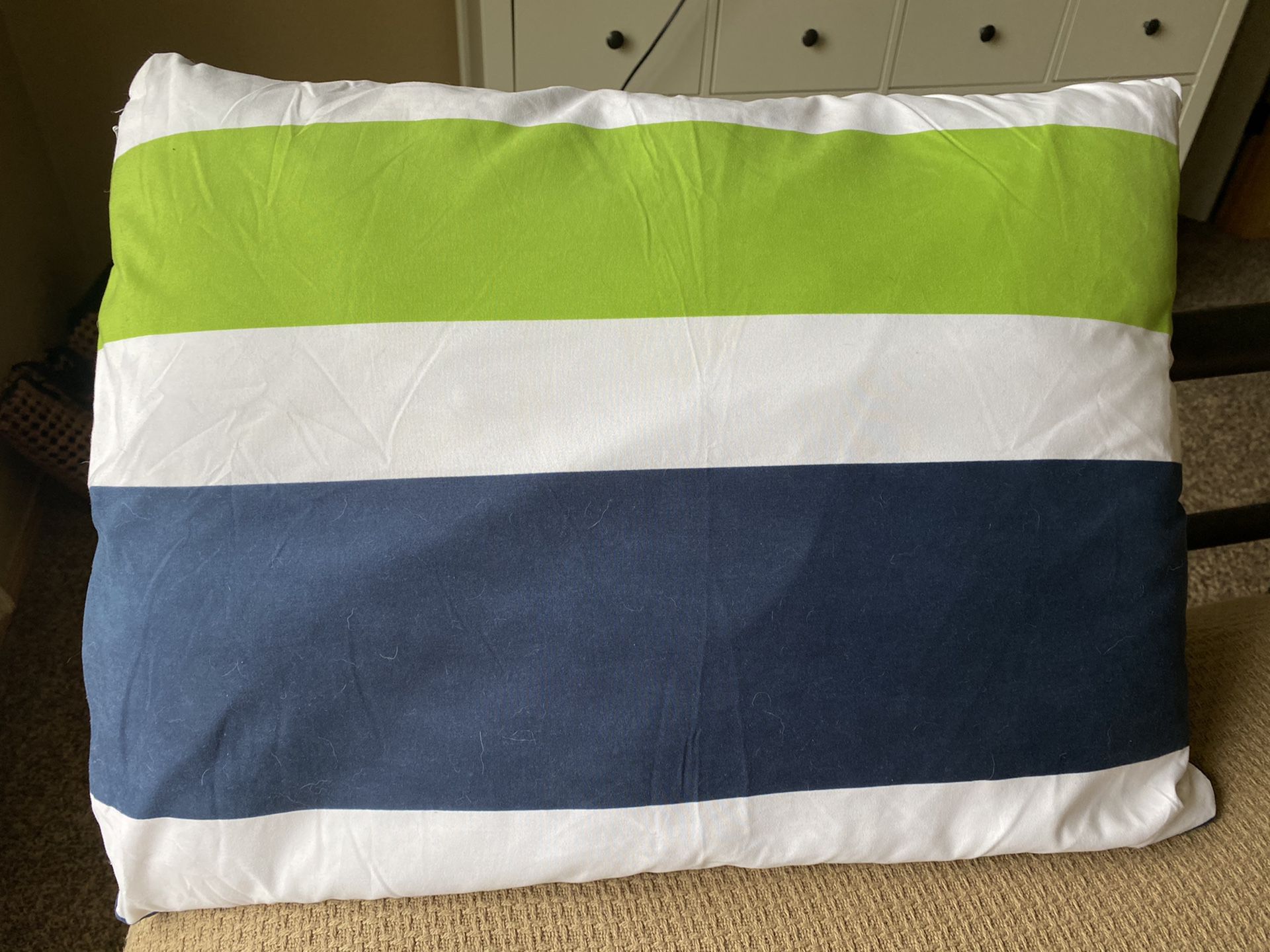 Decorative Pillow - Seahawks Colors