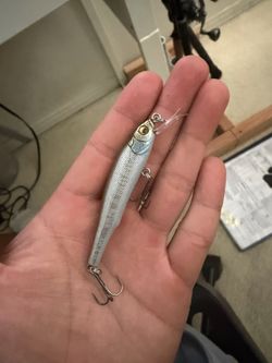 Megabass jerkbait