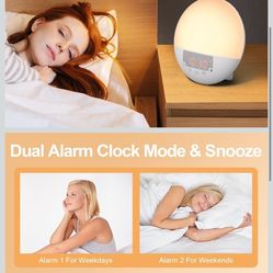 Wake Up Light Sunrise Alarm Clock for Kids, Heavy Sleepers, Bedroom, with Sunrise Simulation, Sleep Aid, Dual Alarms, FM Radio, Snooze, Nightlight, Da