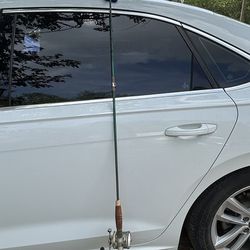 Fishing Pole 