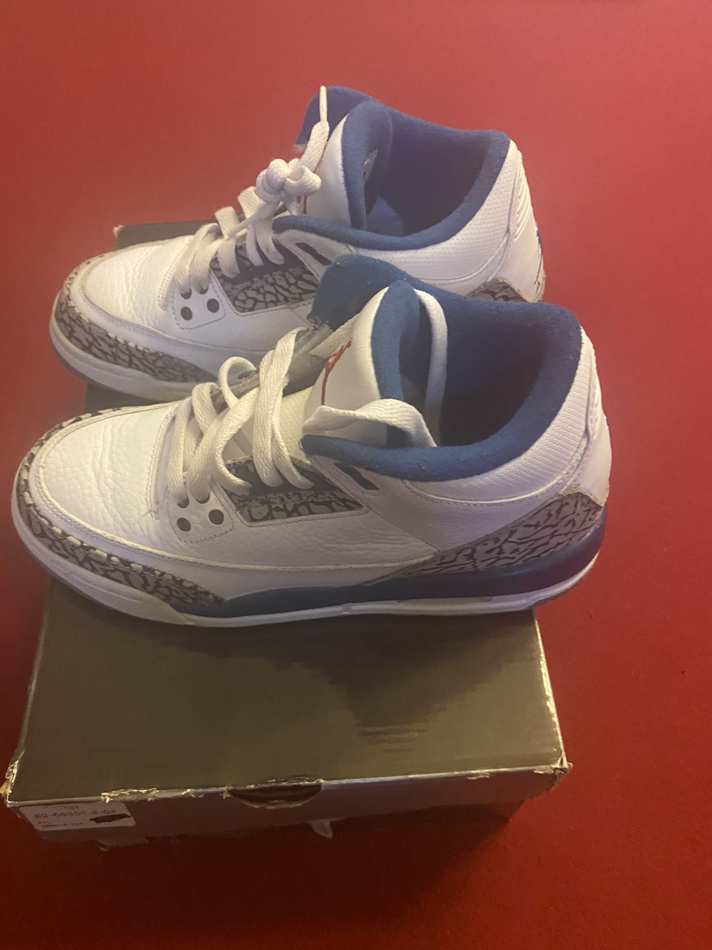 Air Jordan Retro 3 True Blue Boys Size 4.5