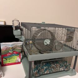 2 Female Hamsters with Deluxe Condo Cage
