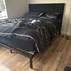 Queen bed Frame 