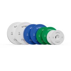 37.5 LB Set 2 in Change Plates 1.25LB 2.5LB 5LB 10LB Fractional Weight Plates,Bumper plates for Gym Home,Rubber Coating & Steel