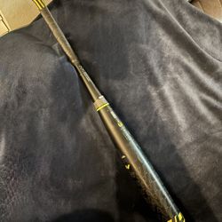 Easton Baseball Bat