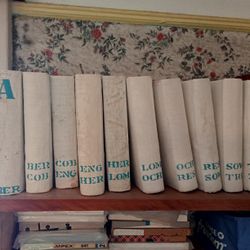 The University Encyclopedia 10 Vol. 1(contact info removed) ,Antique Book 