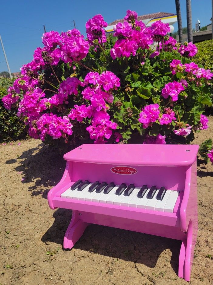 Pink melissa best sale and doug piano