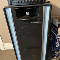 Large Acoustic Concert speaker with 250 watt amp 