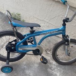 SCHWINN Karate Evo