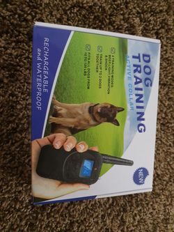 Dog training active collar