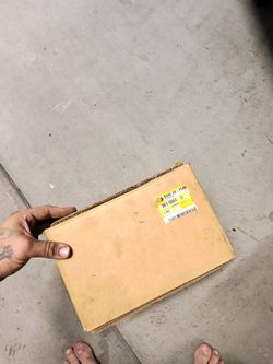 Cat Parts
