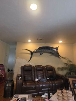 Swordfish
