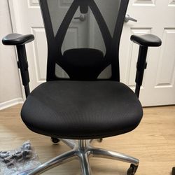 Duramont Ergonomic Office Chair