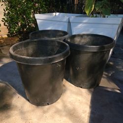 5 Gallon Plant Containers - Multiple Available