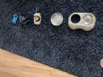 Dogs Leashes And Plate’s Food