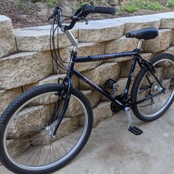 Specialized Mountain Bike / Beach Cruiser 