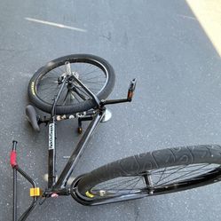 Disc Brake Converted 29 Big Flyer 