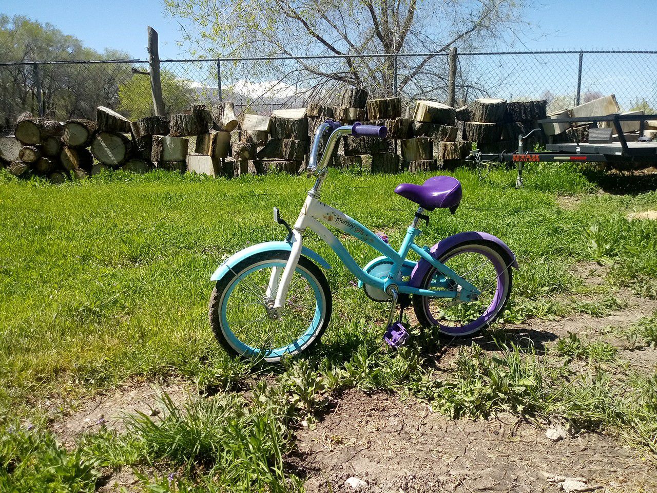 Little Girls bike